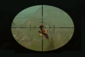 Not everyone agrees that hunting ducks or other animals with bow and arrow is a respectable sport. Hunting Games Play Free Online Hunting Games Gamasexual Com
