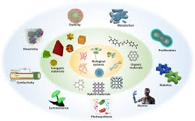 ◀ ← video lecture 32 of 47 → ▶. Nanobiohybrids Materials Approaches For Bioaugmentation Science Advances