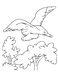 * * * * group of seals watching a seagull coloring page. Seagull Coloring Pages Free Printable Coloring Pages For Kids