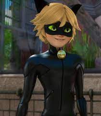 Cat Noir Cat Noir Miraculous Miraculous Ladybug Anime Miraculous Ladybug And Cat Noir