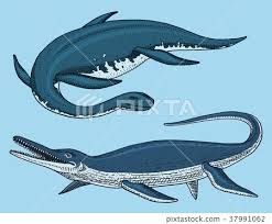 Image result for Elasmosaurus