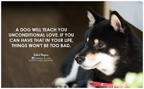 Maybe you would like to learn more about one of these? Dogs Unconditional Love Quotes Quotesgram