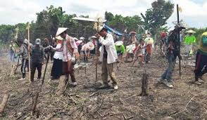 Karakter gotong royong perlu dibangun dalam proses pembelajaran. Istilah Gotong Royong Di Berbagai Daerah Opini Id