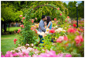 Image Detail For San Jose Engagement Teaser San Jose State University Rose Garden Engagement Photoshoot Engagement Photography Wedding Photography