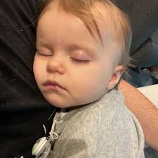 Antonio Forjaz (@aforjaz) • Instagram photos and videos