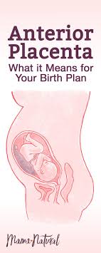 Pin On Pregnancy Health