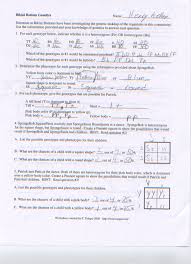 Spongebob is heterozygous for his square shape, but spongesusie is round. Spongebob Genetics Answer Key Page 1 Bikini Bottom Genetics 2 Key Watch Spongebob Squarepants Show Online Full Episodes For Free Maniea Eyeful