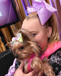Our way through the boom box to find the right bow to help bring bow bow home. Why Is My Dog So Cute Jojo Siwa Jojo Siwa Outfits Jojo Siwa Bows