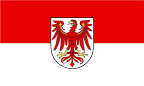 Image result for Glebionis carinata `German Flag`