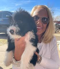 What are the weirdest commands for dogs?