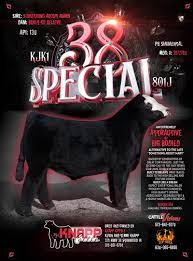 KJK1 38 SPECIAL 801J • Cattle Visions • Premier Multi-Breed Online Semen  Distributor