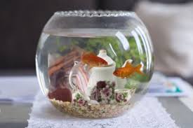 Prepare a thing you need to decoration. Mini Aquarium Decorations Pasteurinstituteindia Com