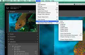 Also in the tools menu, select crop tool overlay to show even more options, such as selecting only those. Lightroom Tips Tricks Crop Image Overlay Tool Underwater Photography Guide