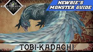 Tobi-Kadachi | Monster Hunter Wiki | Fandom