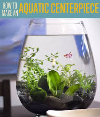 Aquatic Table Centerpiece Project Diy Projects Craft Ideas How To S For Home Decor With Videos Small Fish Tanks Indoor Water Garden Unique Centerpieces