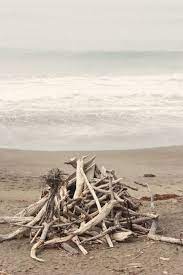 Artpropelled Driftwood Beach Life Beach Living