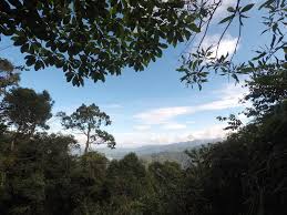 Up and down trail via ulu bendul. Cara Saya Ke Gunung Angsi Nothing To Somethings