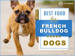 6 Best Foods To Feed An Adult And Puppy French Bulldog In 2019