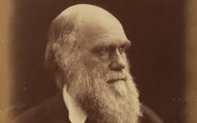 If it isn't, the theory is refined or rejected. Charles Darwin S Theory Of Natural Selection Justified White Male Superiority