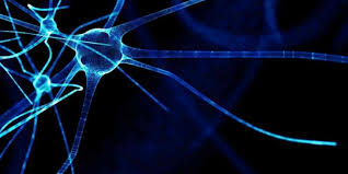 Multiple sclerosis (ms) is a condition that can affect the brain and spinal cord, causing a wide range of potential symptoms, including problems with vision, arm or leg movement, sensation or balance. Esclerosis Multiple Que Es Causas Sintomas E Informacion