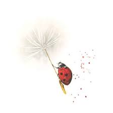 Saved by sarah jo winter. Pin By Sabrina Silvestroni On Tattoo Ladybird Tattoo Lady Bug Tattoo Art
