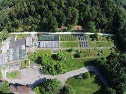 Jeden ersten sonntag im monat um 10 und 11.30 uhr: Botanischer Garten Fachbereich Biologie