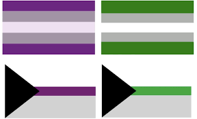 Demisexual panromantic pride flag garden flag 12x18inch decoration banner decorative sweet home yard festival outdoor. What Is Asexual Here S The Asexual Spectrum An Asexual Quiz Everything Else You Re Curious About Lgbtq Nation