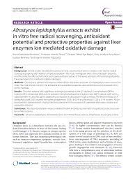 Image result for Afrostyrax