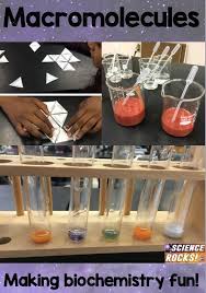 Pin On Homeschool Science