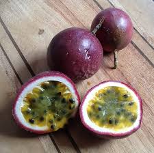 Image result for Passiflora edulis