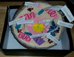 How to make a 3d animal cell model? 3d Animal Cell Model Materials Used A Foam Ball Acrylic Paint Yarn Construction Paper Tacky Glue A Small P Animal Cells Model 3d Animal Cell Cell Model