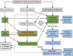 Global Warming Cause And Effect Diagram Wiring Diagrams