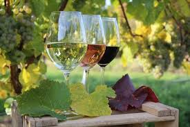 Weinprobe Frankenwein Weinguter Franken Weine Von Frankischen Winzern Bestellen Frankenwein Weinprobe Wein