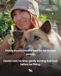 TONIGHT is the season finale of The Wizard of Paws! 🌟 Derrick heads to  Karnataka, India, to visit The Backwater Sanctuary—where founder Zoha  dedicates her life to rescuing horses in need. 🐴