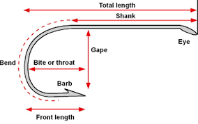 Fishing Hook Sizes Why Is A Size 8 Different From An 8 0