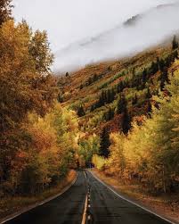 Fall Photography Tips for Foliage & More | Artifact Uprising