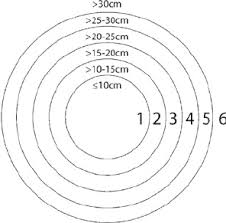 a stem diameter size class chart stem fragments were