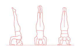 The pose itself is much older, but was known by other names. Tripod Headstand Sirsasana Dimensions Drawings Dimensions Com