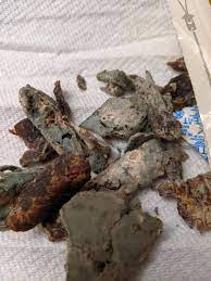 I Just Ate Half A Bag Of Moldy President S Choice Jerky Jerky