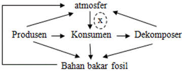 We did not find results for: Soal Ujian Ekosistem Aliran Energi Dan Daur Biogeokimia Proprofs Quiz
