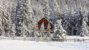 The blaeberry cabin is 20 minutes from golden bc in the rural and peaceful blaeberry valley where time stands still, with interesting characters and wildlife abound. Cabins Cottages In Golden Tourism Golden British Columbia Canada