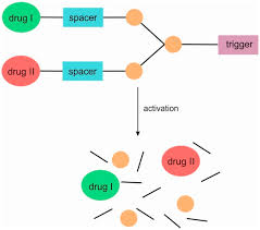 Image result for Warneckea sp.