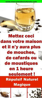 Pulverisez Ce Melange Dans Votre Maison Et Il N Y Aura Pas De Mouches De Cafards Ou De Moustiques En 2 Heures Seulement Cleaning Hacks Hygiene Glassware