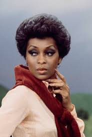 Born in Philadelphia in 1942, Lola Falana left home as a teenager to seek  her fortune in entertainment. She often slept in subway stations before  finding work. She studied African dance, and