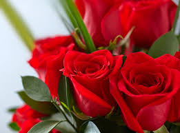 Meanings have been attached to flowers for generations. What Color Roses To Send For Valentine S Day 1800flowers Blog