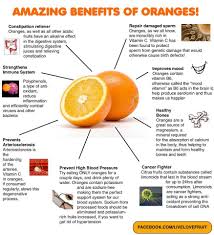 30 Amazing Benefits Of Oranges Santra For Skin Hair And Health Organic Health Healing Food Health