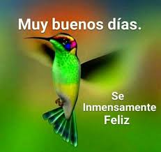 Birds Chirping In The Morning Spiritual Meaning Pin De Ofelia Molina En Motivational Buenos Dias Imagenes Bonitas Imagenes Bonitas Para Whatsapp