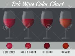 Red Wine Color Chart Hand Drawn Wine Glasses