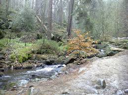 Check spelling or type a new query. Stream Vs River What S The Difference Ask Difference