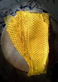 pin on tanning process curtimento